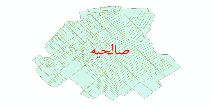دانلود نقشه شیپ فایل شبکه معابر شهر صالحیه سال 1399